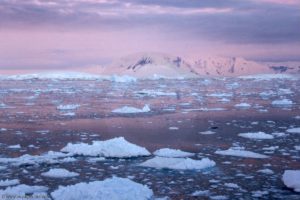 Lever de soleil - entre chenal Neumayer et chenal Lemaire (Péninsule Antarctique)